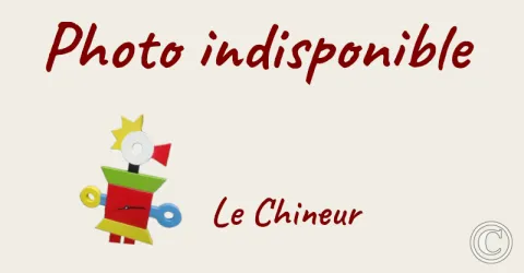 Le Chineur